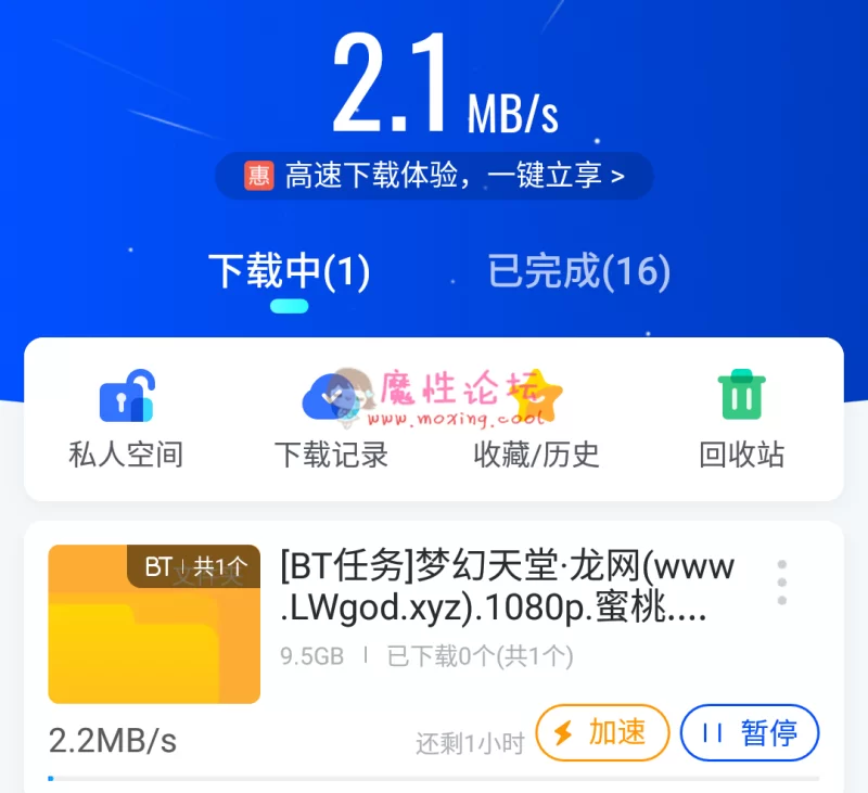 QQ图片20191005182205.png